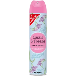 Gut&Günstig Raumspray Cassis & Freesie Odświeżacz powietrza spray 300ml